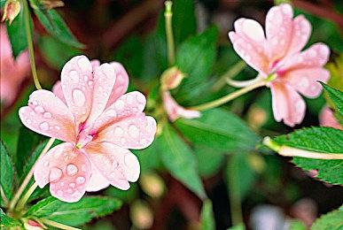 《战神：诸神黄昏》黑妹演员晒幕后照 笑容很灿烂